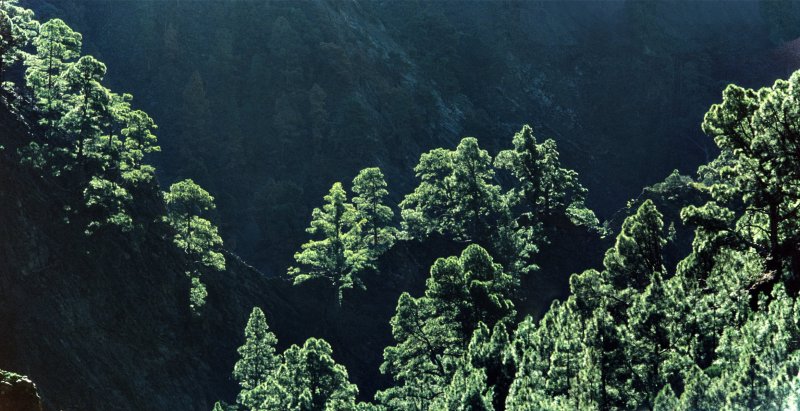 Panoramen &raquo; Landschaft